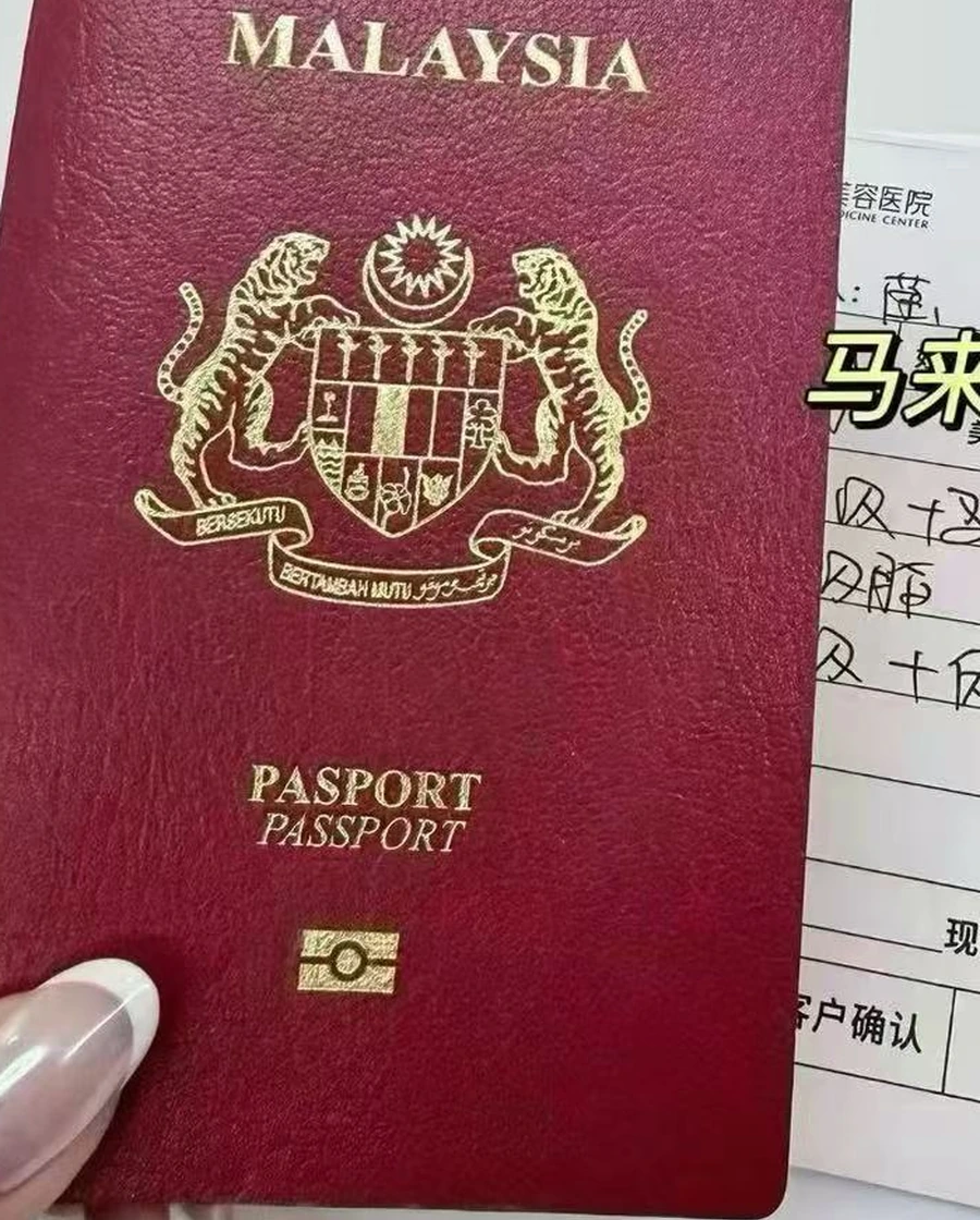 马来西亚到访咨询记录